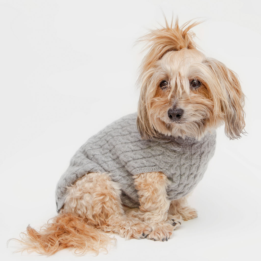 The Topo Cashmere Cable Knit Dog Sweater in Brume Grey (Made in NYC) Wear DOG & CO. COLLECTION   
