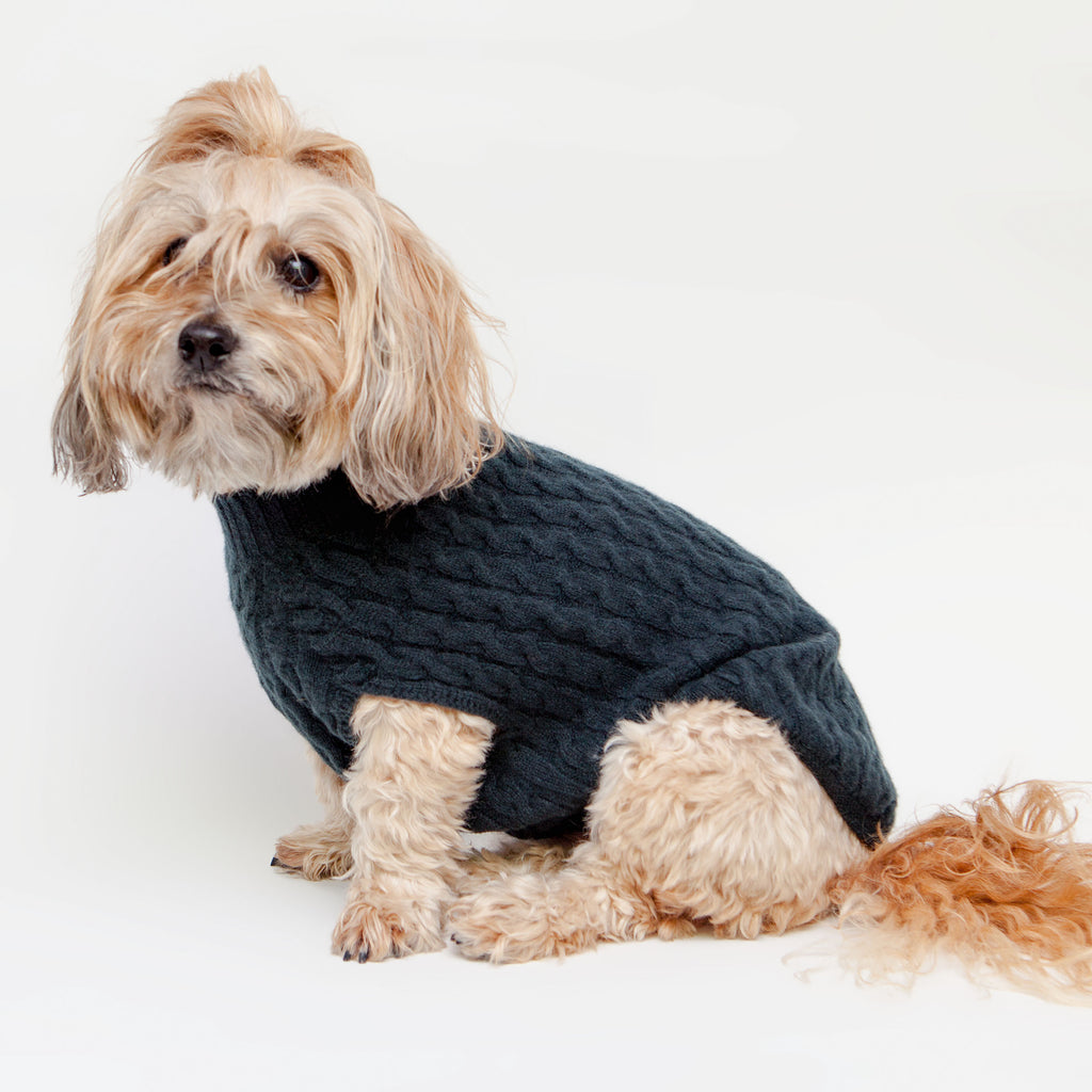 The Topo Cashmere Cable Knit Dog Sweater in Nightwatch Green Wear DOG & CO. COLLECTION   
