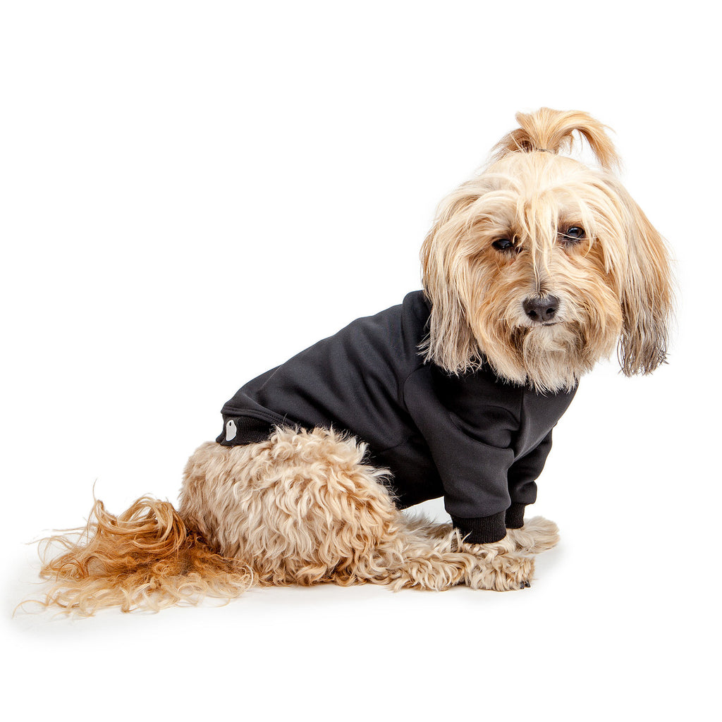 Water Resistant Dog Hoodie in Black Wear DOG & CO. COLLECTION   