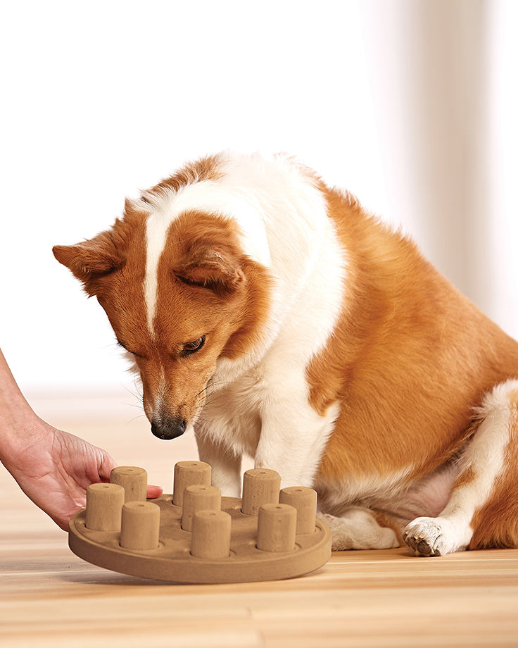 Dog Smart Treat Puzzle Game Play Nina Ottosson   