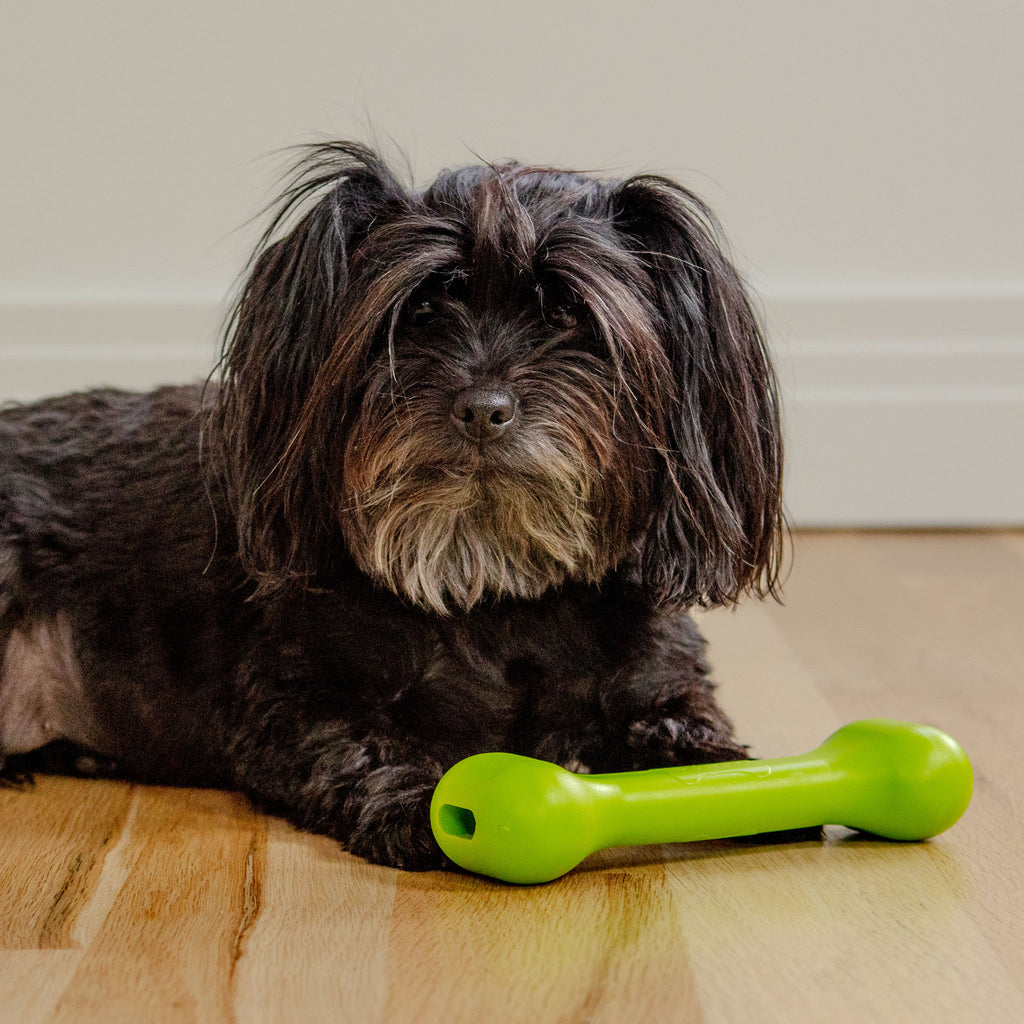 The Perfect Bone Dog Toy in Safety Green (Made in the USA) Play JERSEY DOG CO.   