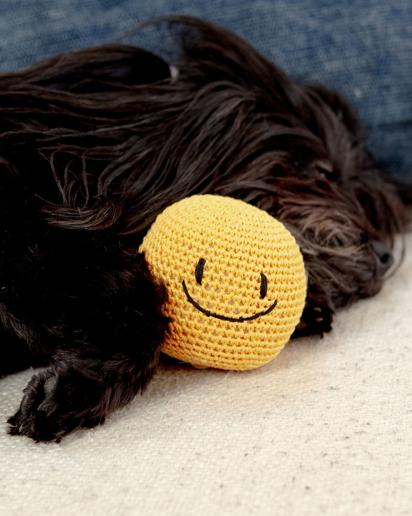 Smiley Face Dog Knit Squeaker Toy in Yellow Play BASIC STUDIO   