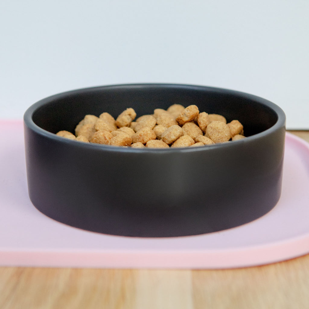 The Hugo Ceramic Pet Bowl in Black Eat PARK LIFE DESIGNS   