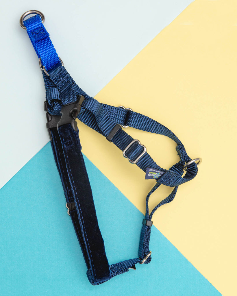 Freedom No-Pull Harness in Navy Blue (Made in the USA) (FINAL SALE) WALK 2 Hounds Design   