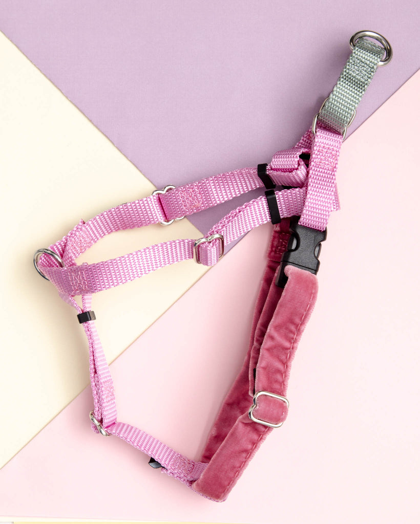 Freedom No-Pull Harness in Rose Pink (Made in the USA) WALK 2 Hounds Design   