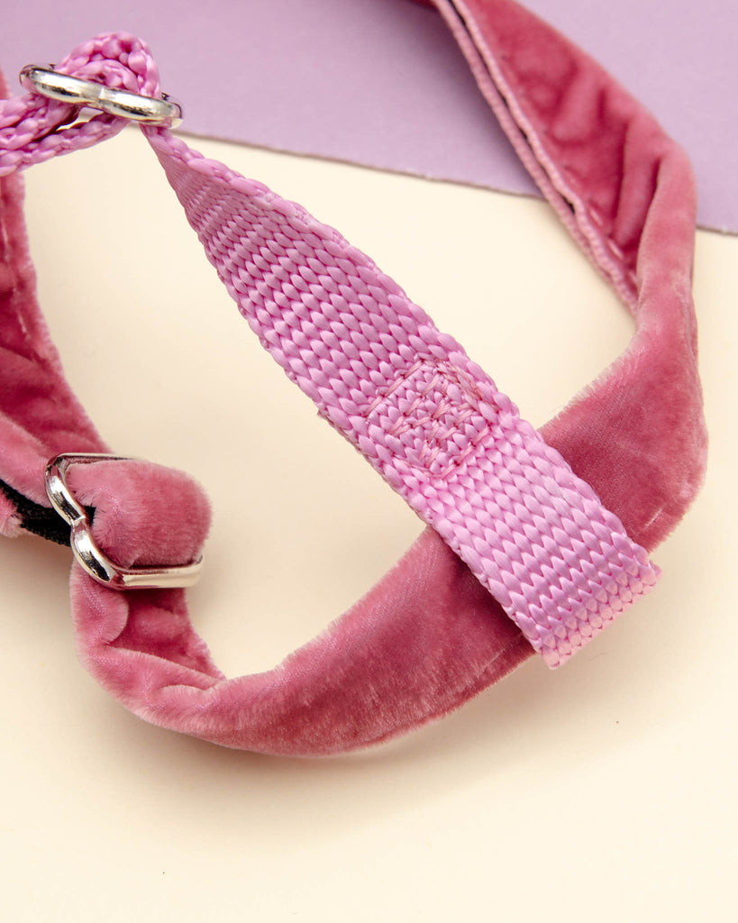 Freedom No-Pull Harness in Rose Pink (Made in the USA) WALK 2 Hounds Design   