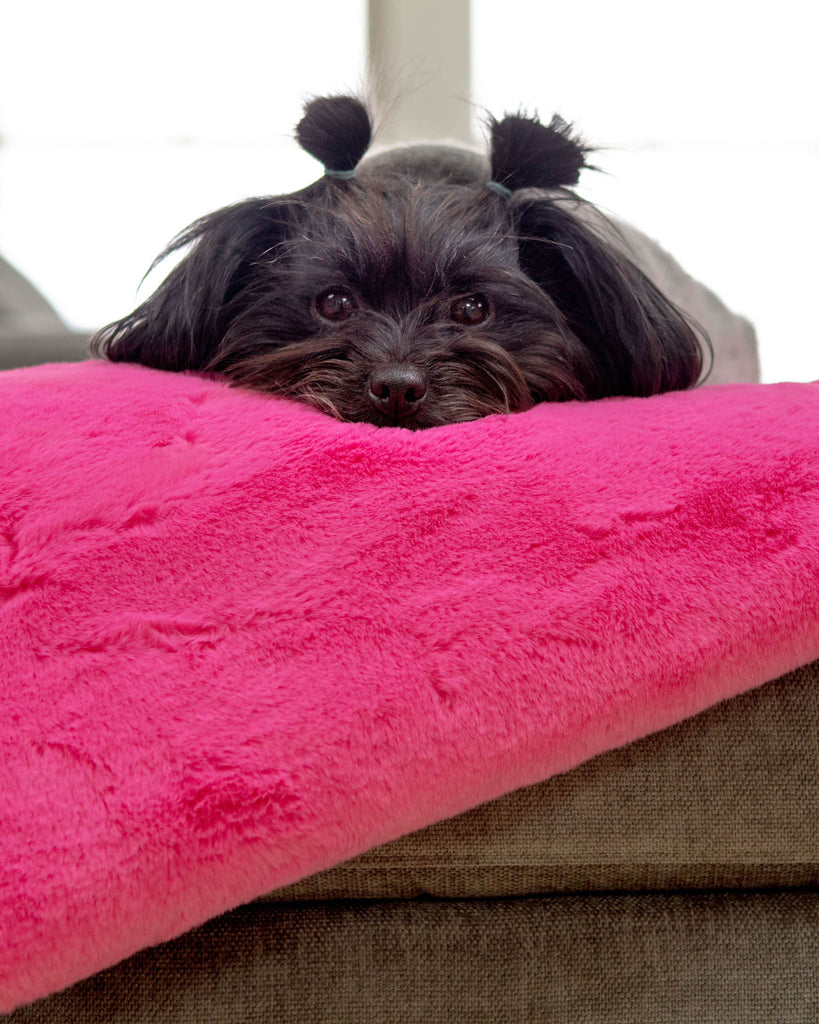 Mini Faux Fur Brady Dog Blanket in Bubble Pink HOME APPARIS   