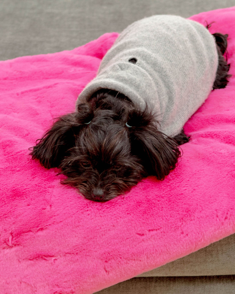 Mini Faux Fur Brady Dog Blanket in Bubble Pink HOME APPARIS   