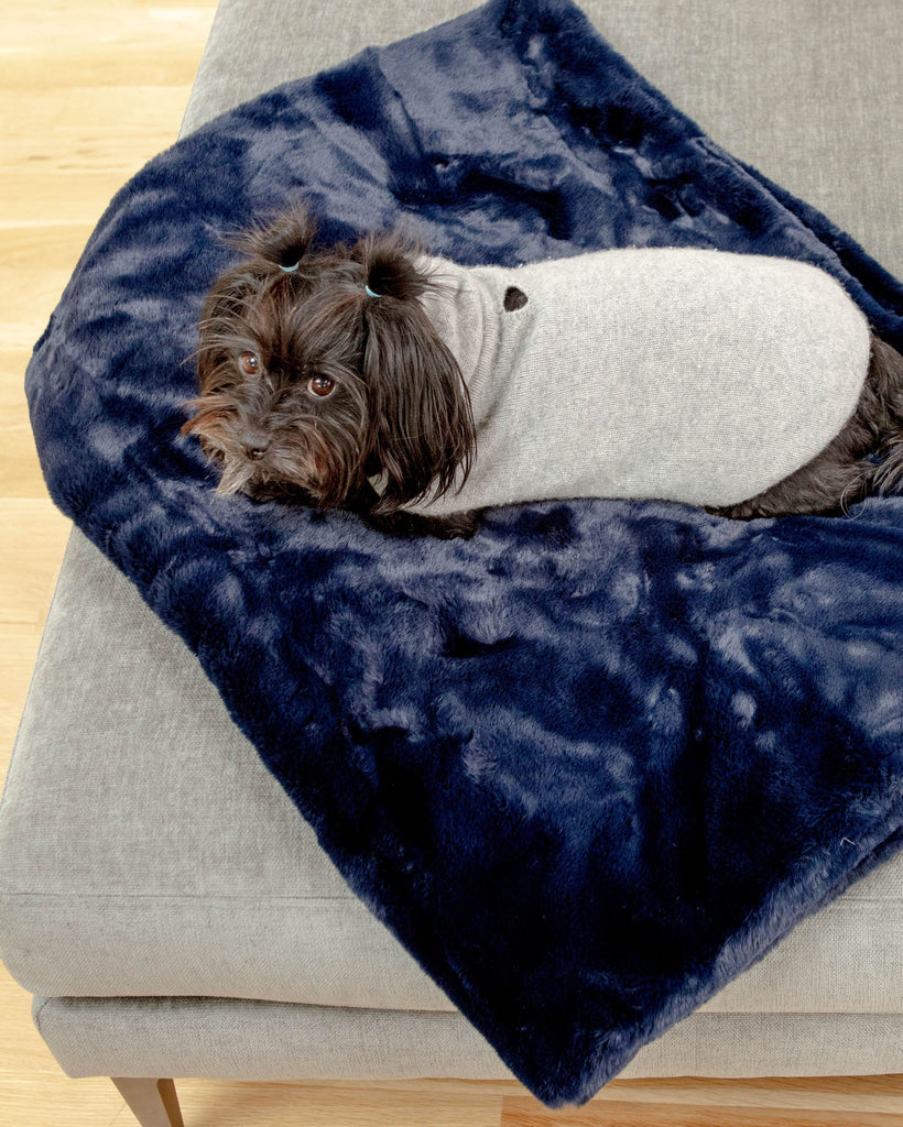 Mini Faux Fur Brady Dog Blanket in Navy HOME APPARIS   