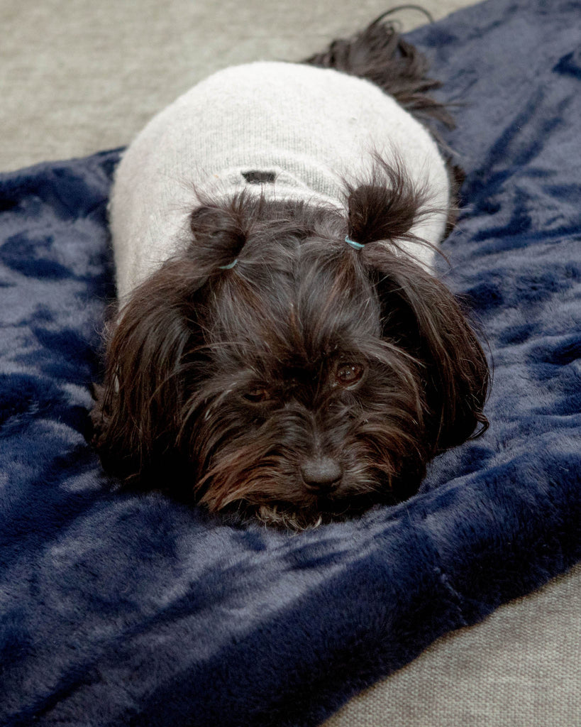 Mini Faux Fur Brady Dog Blanket in Navy HOME APPARIS   