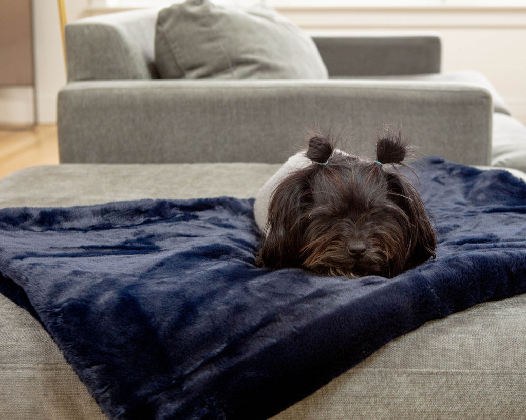 Mini Faux Fur Brady Dog Blanket in Navy HOME APPARIS   