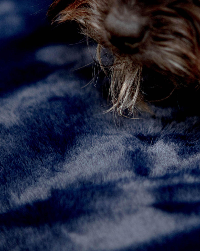 Mini Faux Fur Brady Dog Blanket in Navy HOME APPARIS   