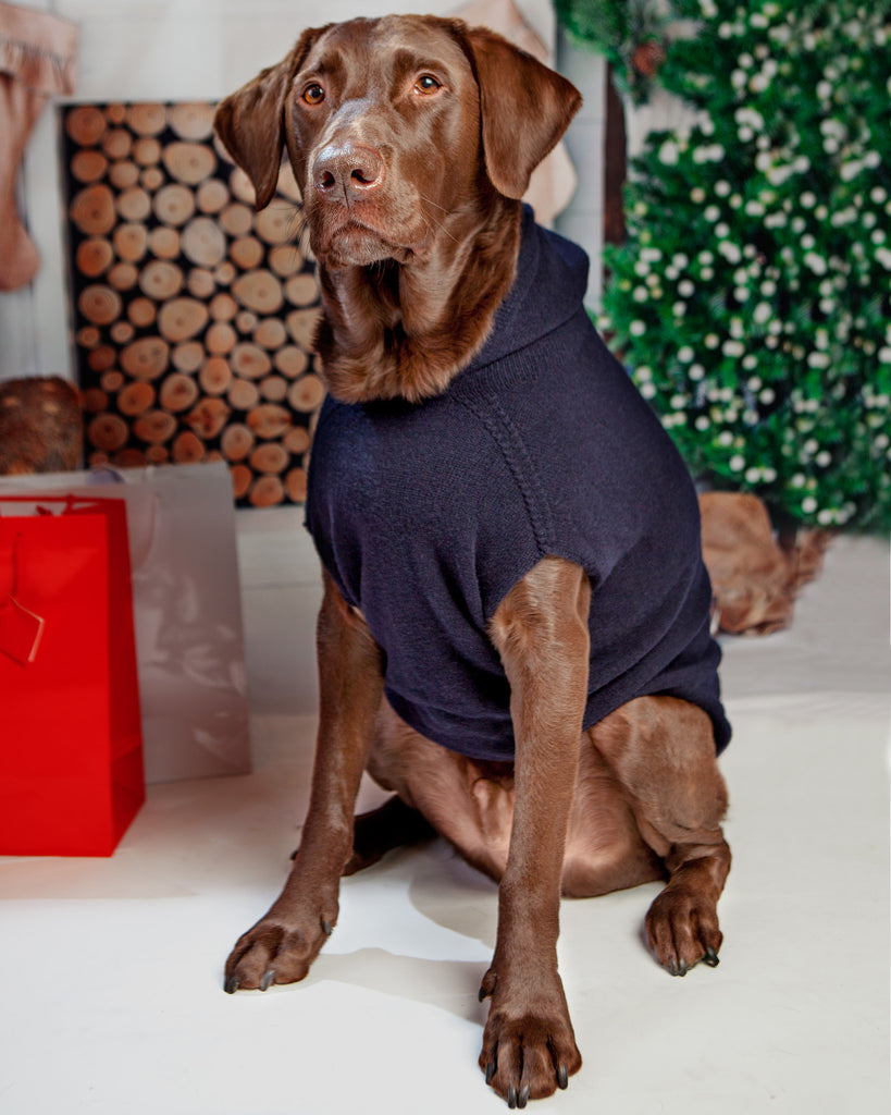 The Marmalady Cashmere Dog Hoodie in Midnight (Made in NYC) (FINAL SALE) Wear DOG & CO. COLLECTION   