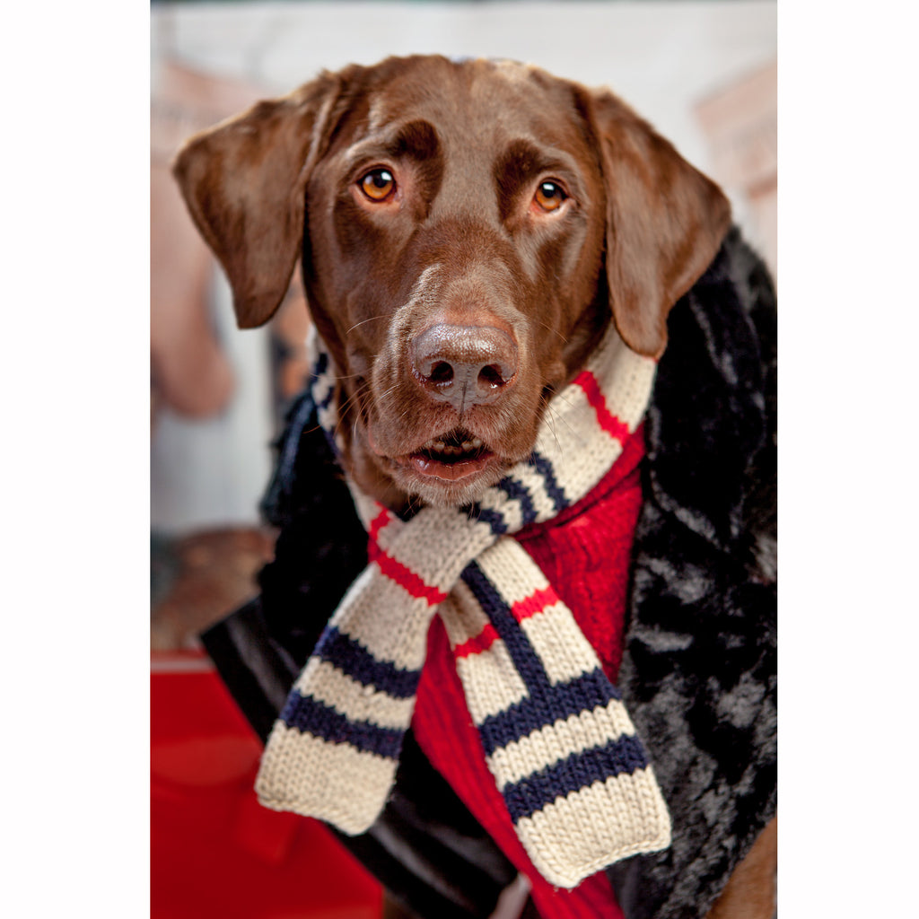CHILLY DOG | Tan Plaid Scarf Accessories Chilly Dog   