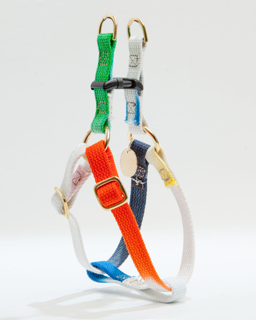 Cotton Webbing Harness in Dog & Co. Ombre WALK FOUND MY ANIMAL   