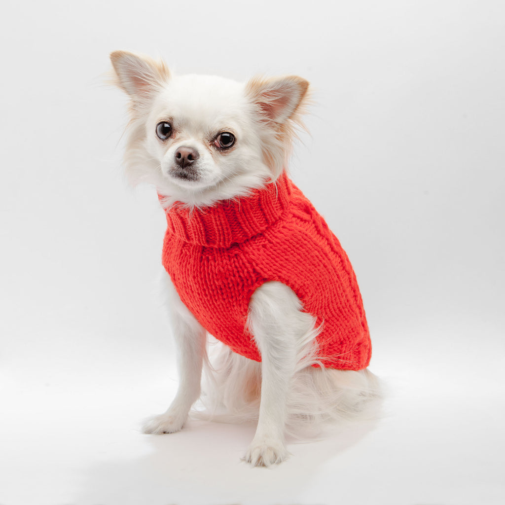 Hand Knit Turtleneck Sweater in Papaya Electric (Dog & Co. Exclusive) (FINAL SALE) Wear THE WORTHY DOG   