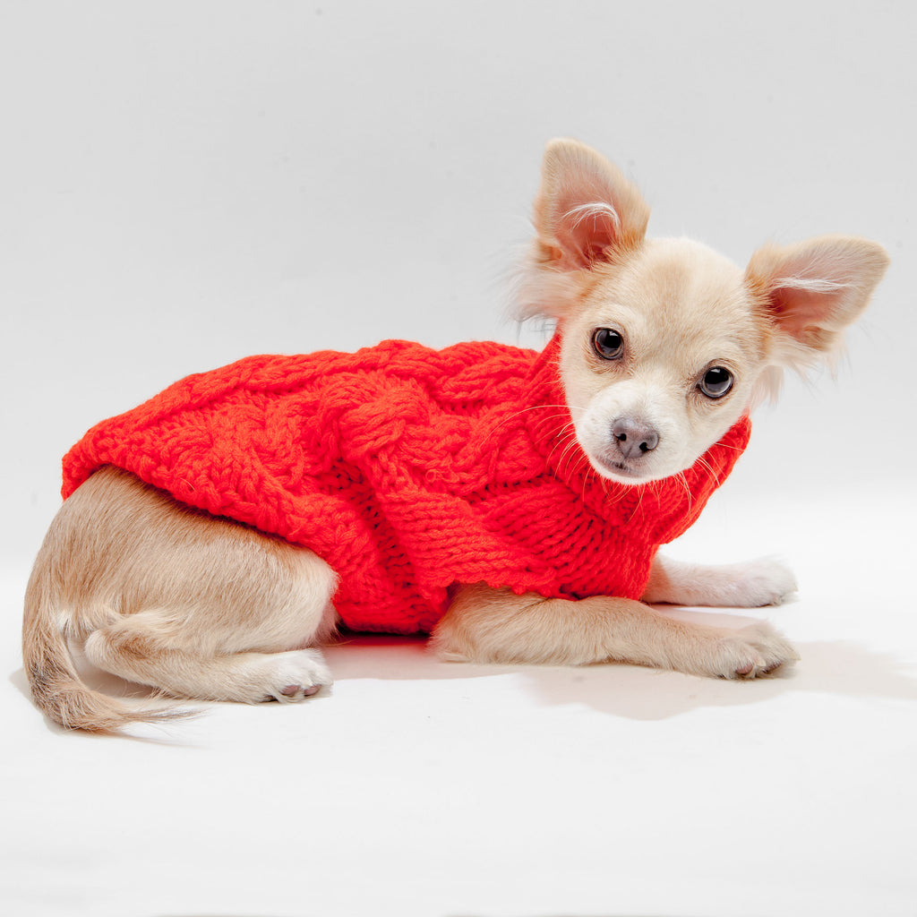 Hand Knit Turtleneck Sweater in Papaya Electric (Dog & Co. Exclusive) (FINAL SALE) Wear THE WORTHY DOG   