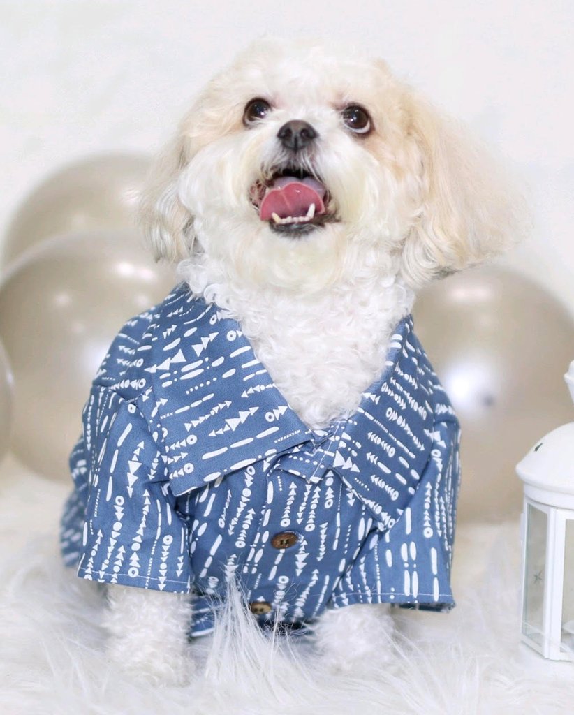 DOG THREADS | Riviera Chambray Shirt Apparel Dog Threads   