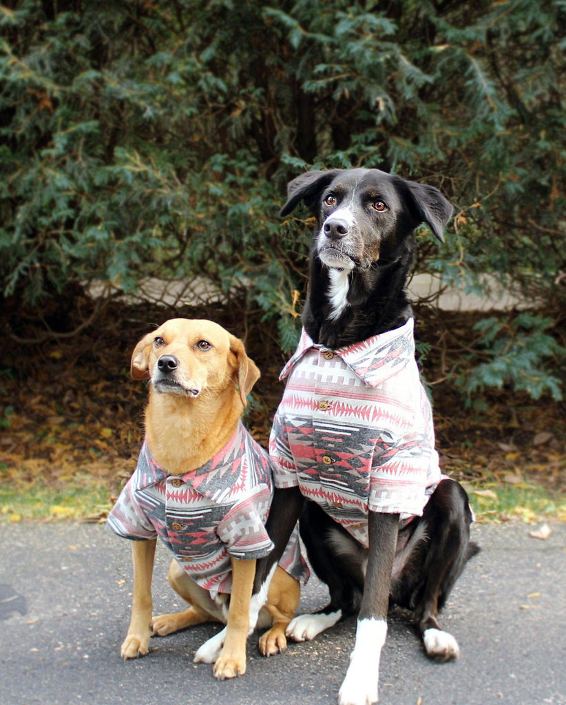 Shop dog threads cheap
