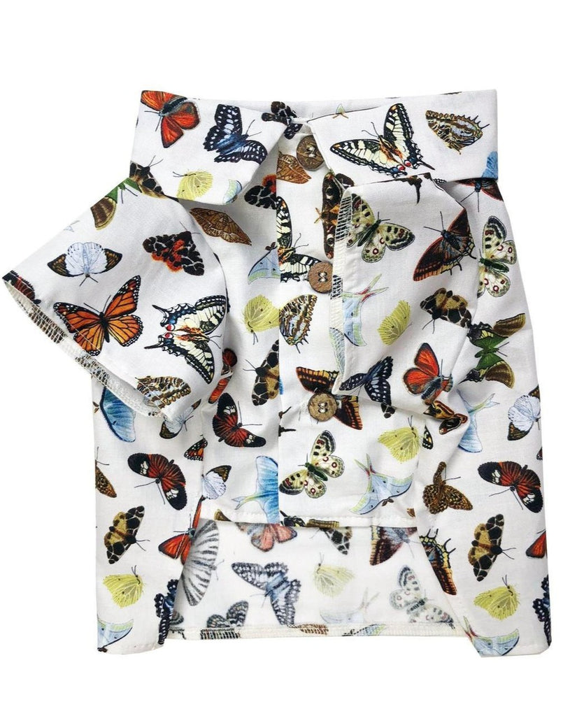 Social Butterfly Button-Down Dog Shirt (FINAL SALE) Wear Dog Threads   