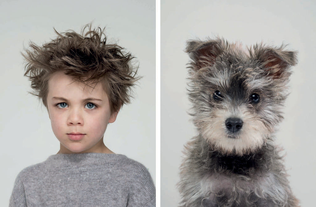 CHRONICLE BOOKS | Do You Look Like Your Dog? Memory Game Human Chronicle Books   