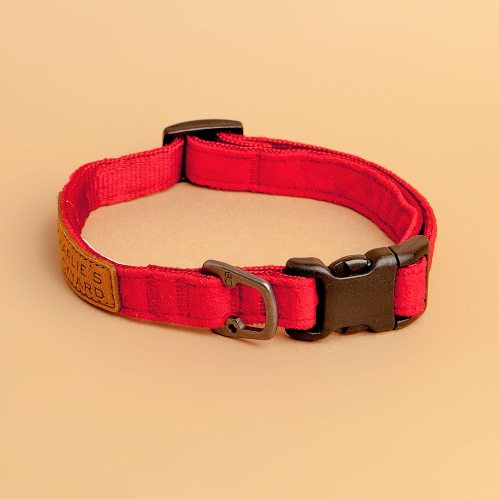 Easy Dog Collar in Red WALK CHARLIE'S BACKYARD   