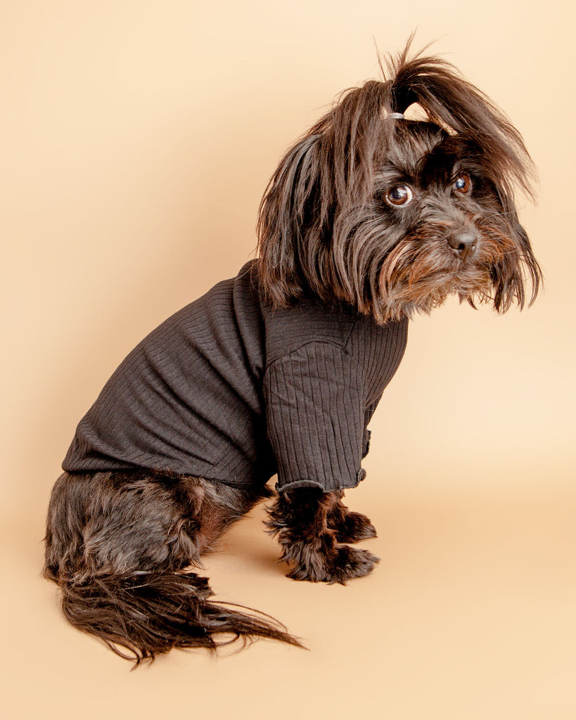 Ruffle Cuff Ribbed Dog Turtleneck in Black Wear BARKWELL   