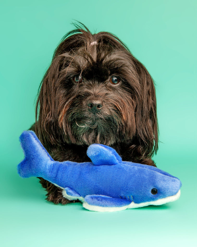 Baby Bruce Shark Plush Dog Toy Play FLUFF & TUFF   