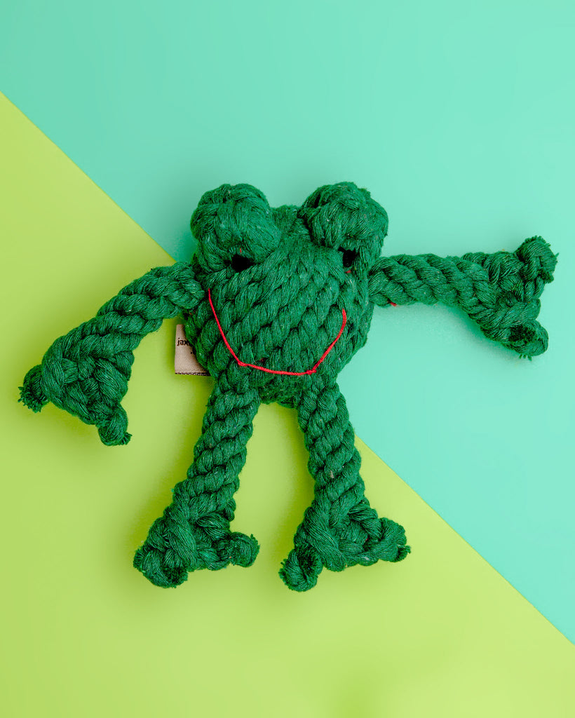 Pep Frog Rope JAX & BONES | Flip the Frog Rope Toy | DOG & CO.