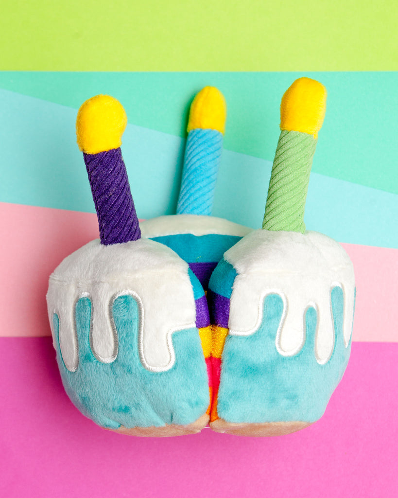 Bone-Appetite Birthday Cake Dog Toy Play P.L.A.Y.   