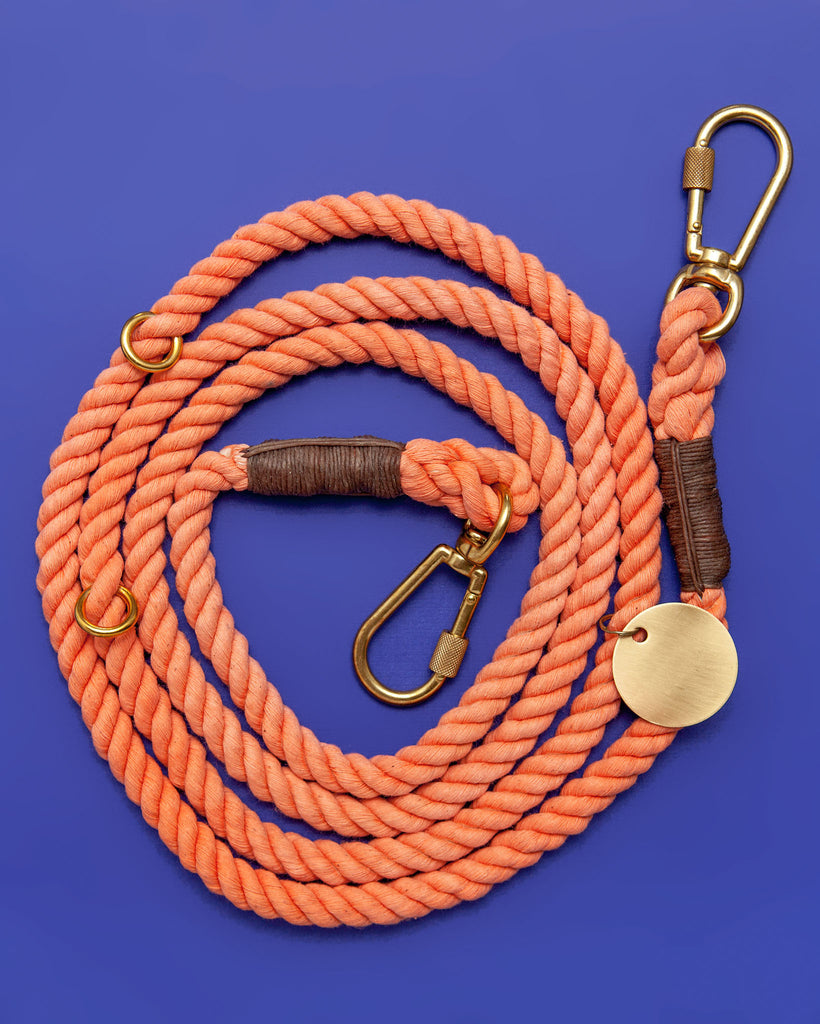 Adjustable Rope Lead in Peach (Made in the USA) WALK FOUND MY ANIMAL   