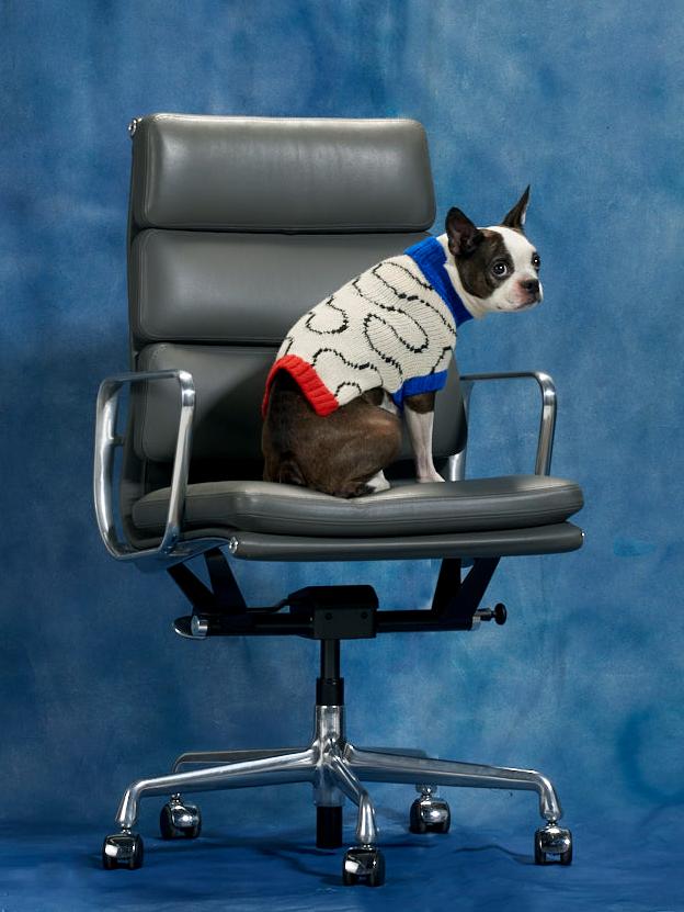 DUSEN DUSEN | Ivory Arc Dog Sweater Apparel DUSEN DUSEN   