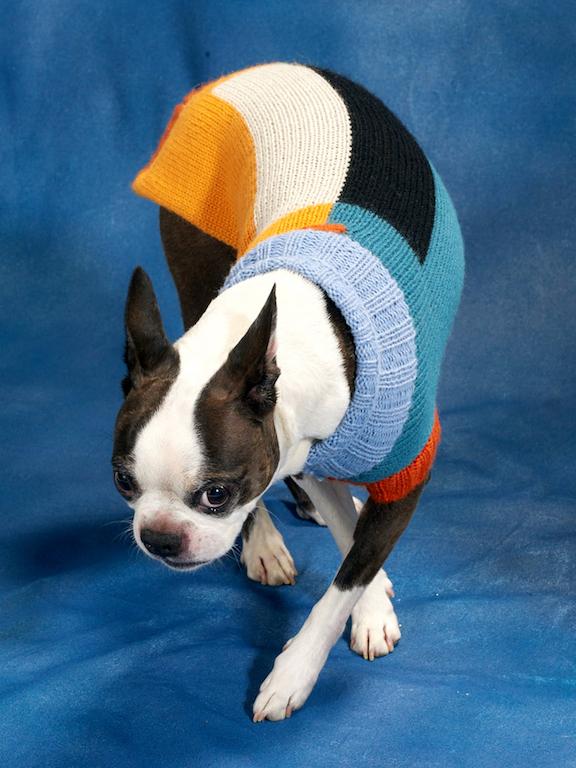 DUSEN DUSEN | Block Dog Sweater Apparel DUSEN DUSEN   