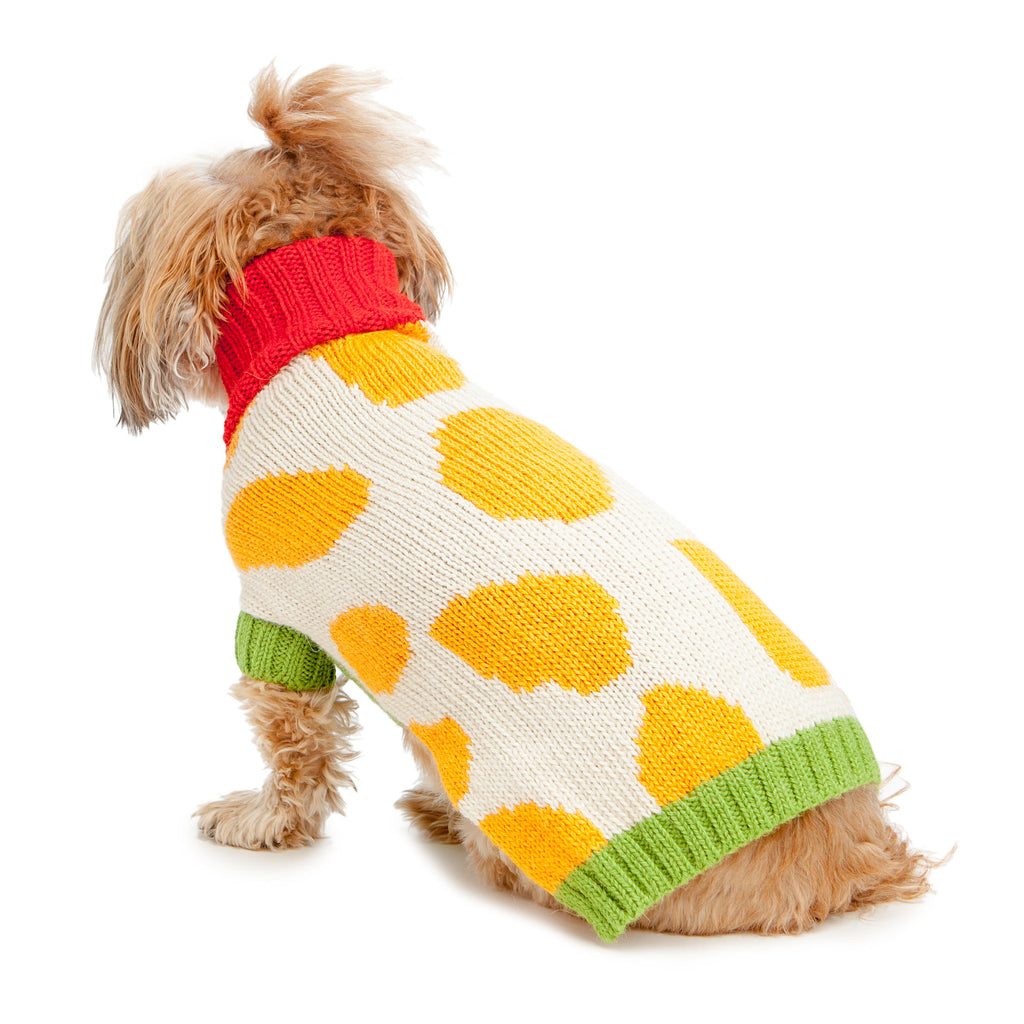 DUSEN DUSEN | Rocks Dog Sweater Apparel DUSEN DUSEN   