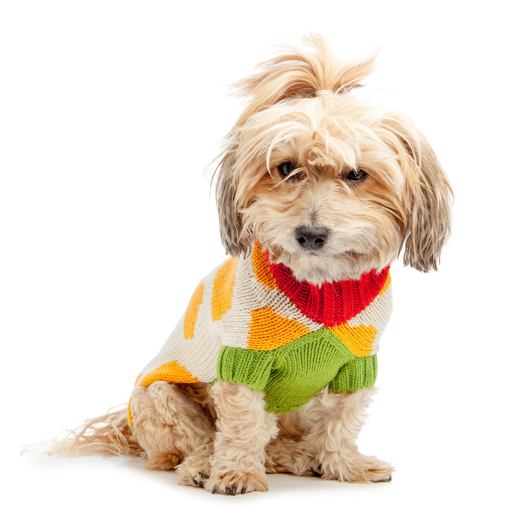 DUSEN DUSEN | Rocks Dog Sweater Apparel DUSEN DUSEN   