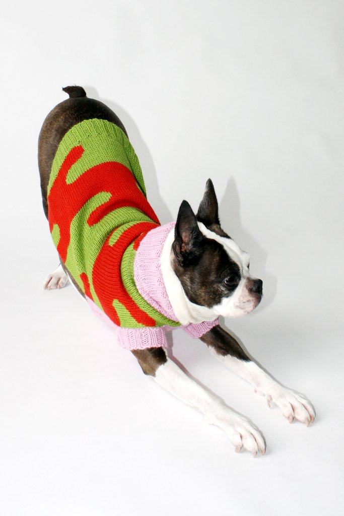 DUSEN DUSEN | Slick Dog Sweater Apparel DUSEN DUSEN   
