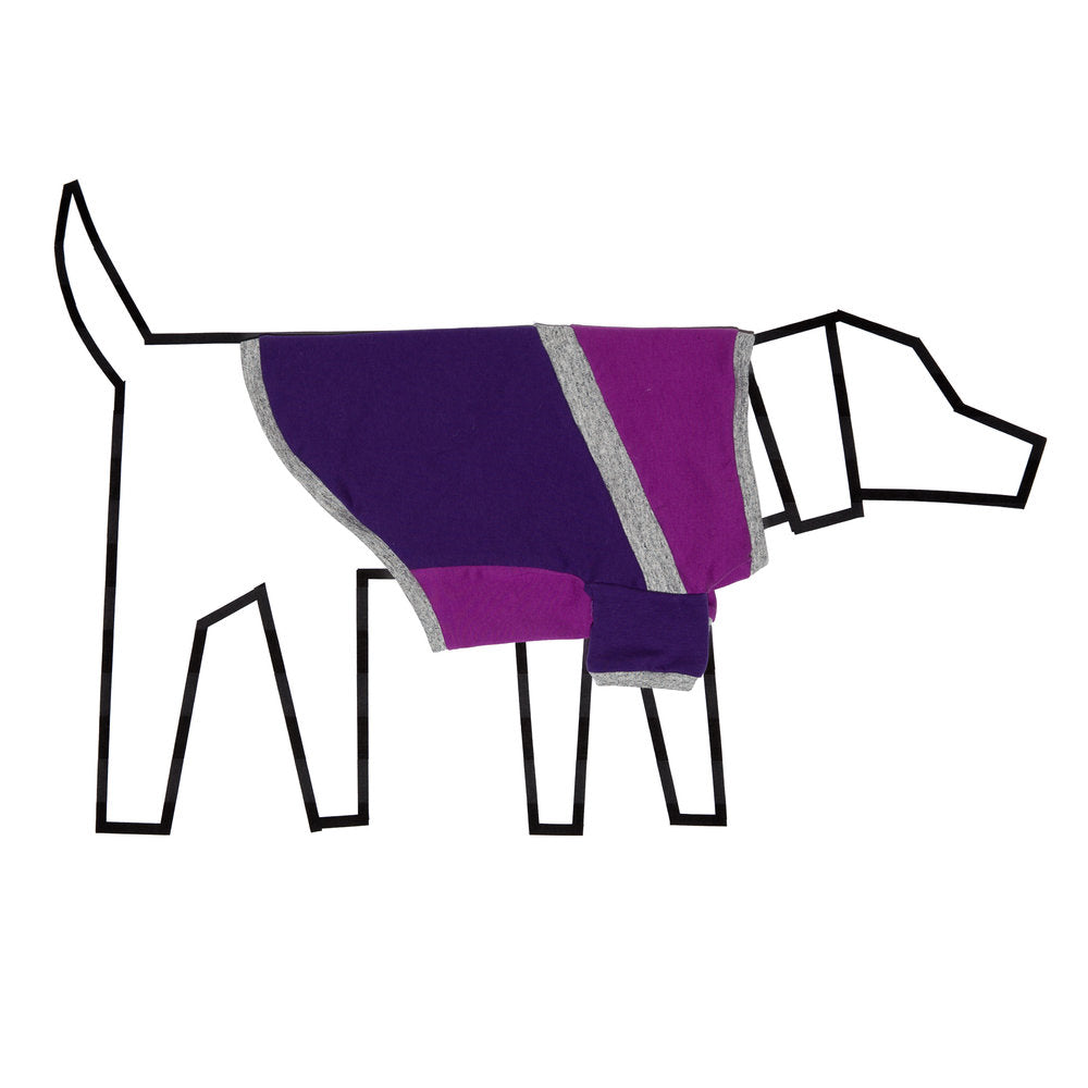 WARE of the DOG | Diagonal T Shirt in Purple Apparel WARE OF THE DOG   