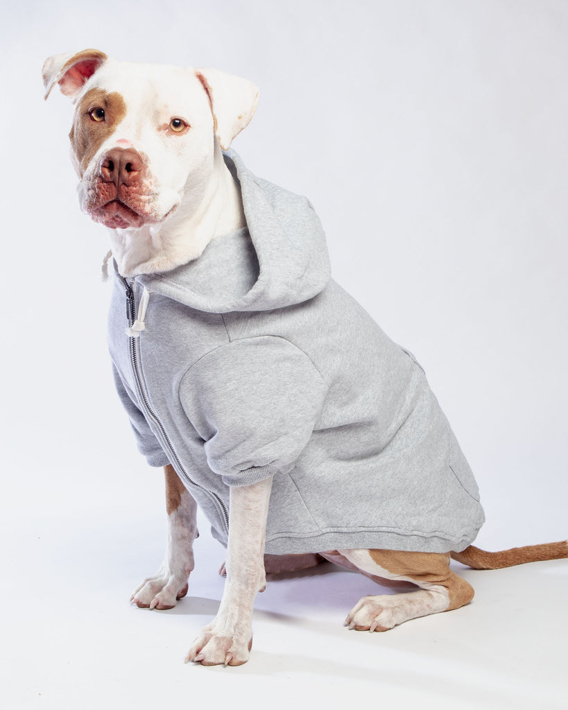 Light Grey Zip-Up Dog Hoodie << FINAL SALE >> Wear ELLIE DOG WEAR   