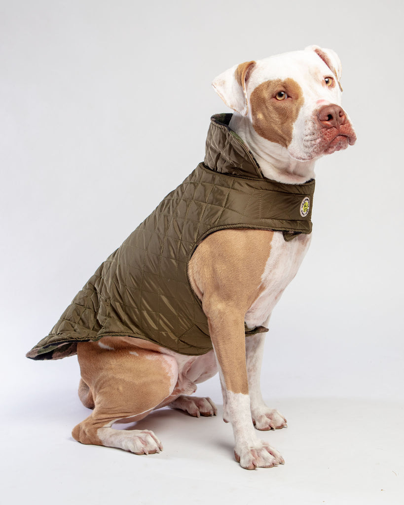 Reversible Camo Quilted Dog Coat << FINAL SALE >> Wear UPCOUNTRY   