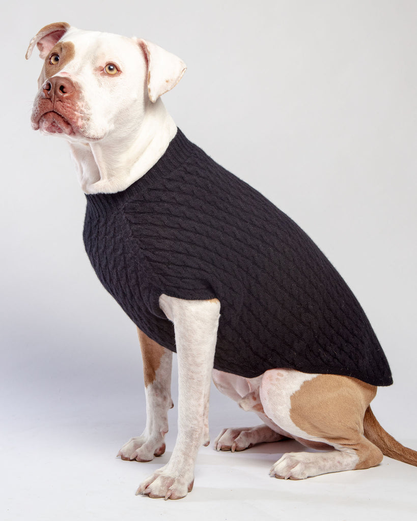 The Uptown Cable Knit Sweater in Black Cashmere (Made in NYC) Wear DOG & CO. COLLECTION   