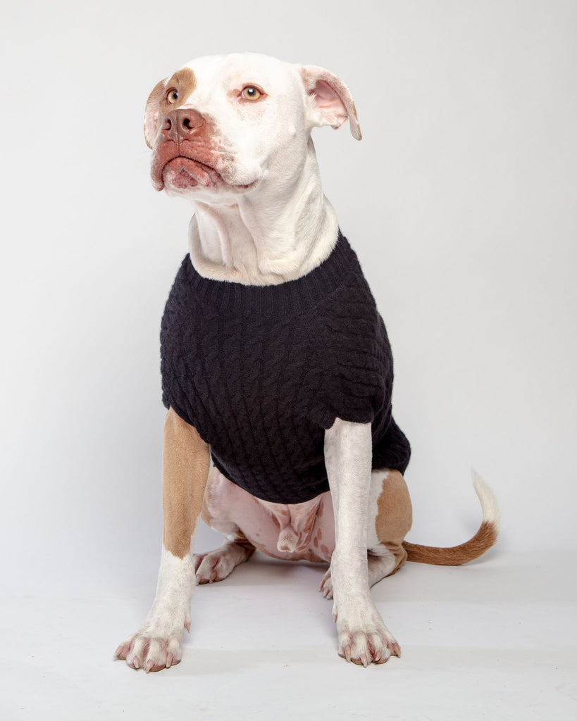 The Uptown Cable Knit Sweater in Black Cashmere (Made in NYC) Wear DOG & CO. COLLECTION   