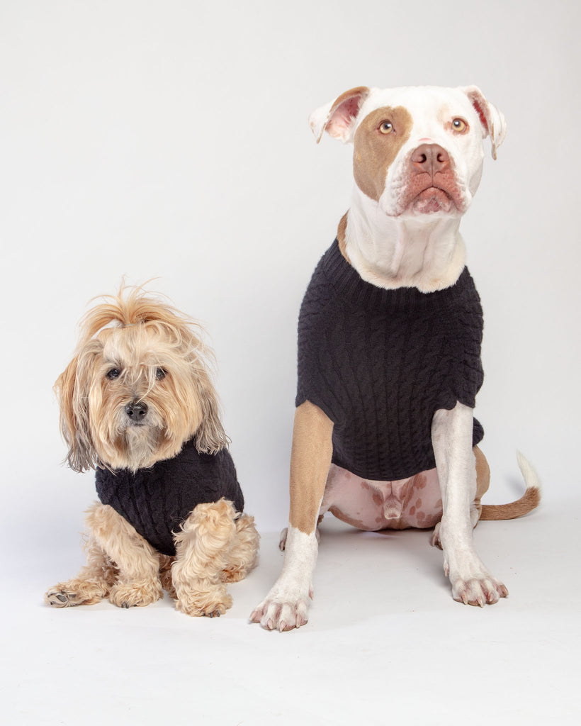 The Uptown Cable Knit Sweater in Black Cashmere (Made in NYC) Wear DOG & CO. COLLECTION   