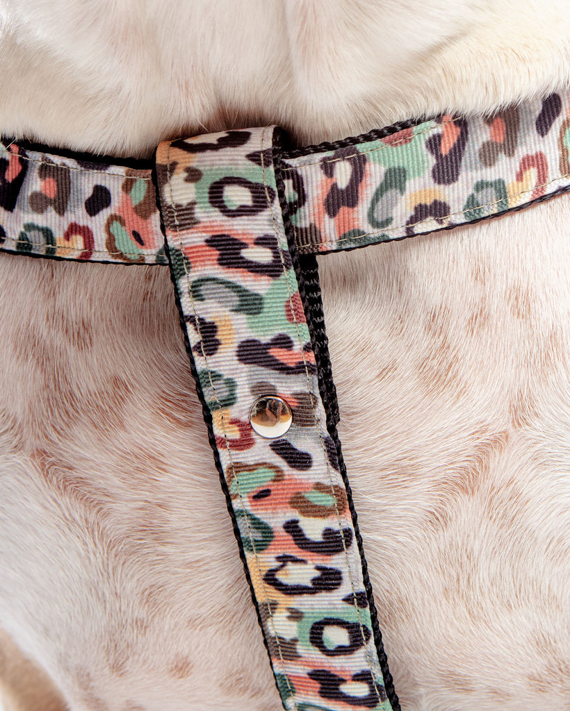 Step-In Dog Harness in Camo Leopard (Made in NYC) WALK DOG & CO. COLLECTION   