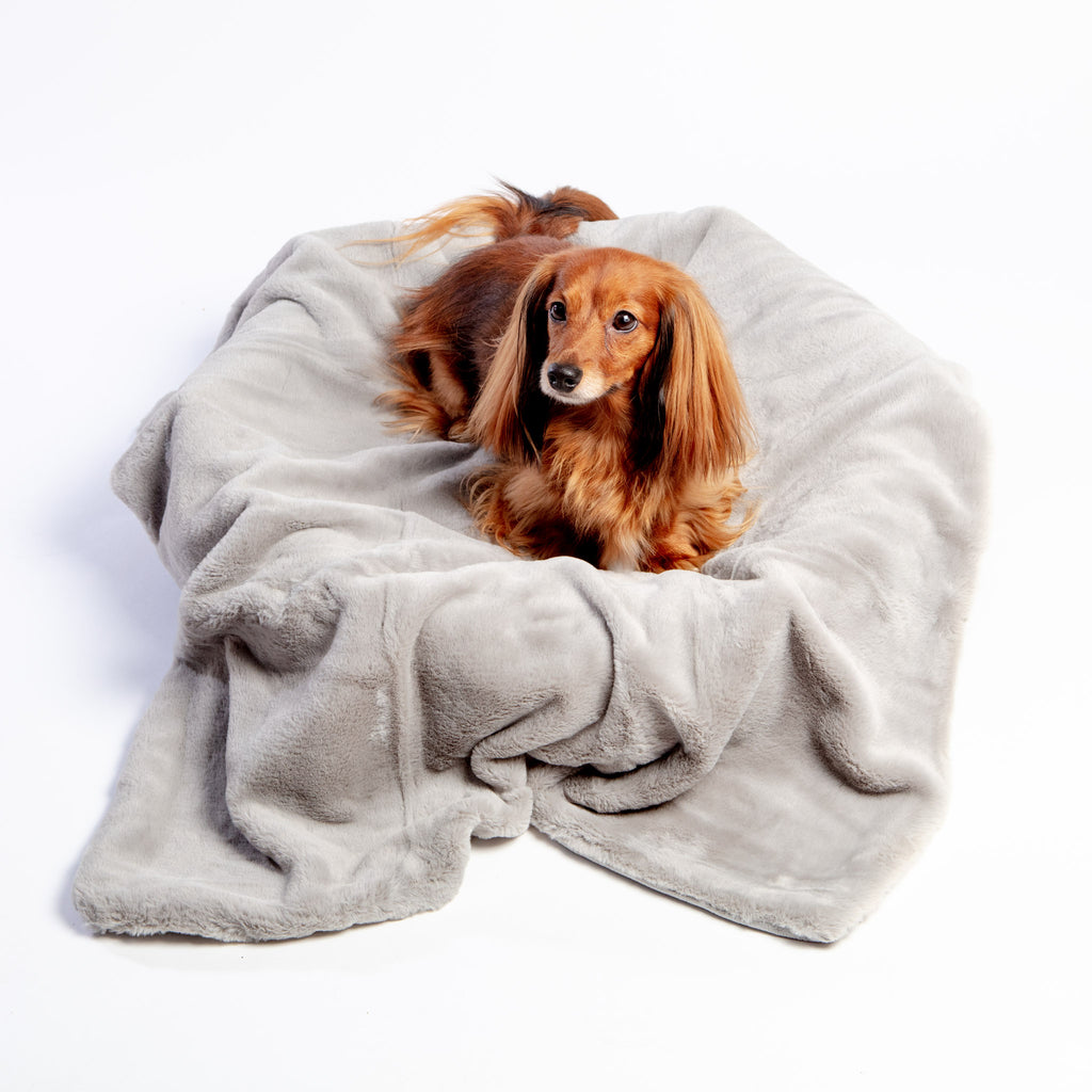 Luxe Grey Faux Fur Dog Blanket (Made in the USA) << FINAL SALE >> HOME TADPOLES   