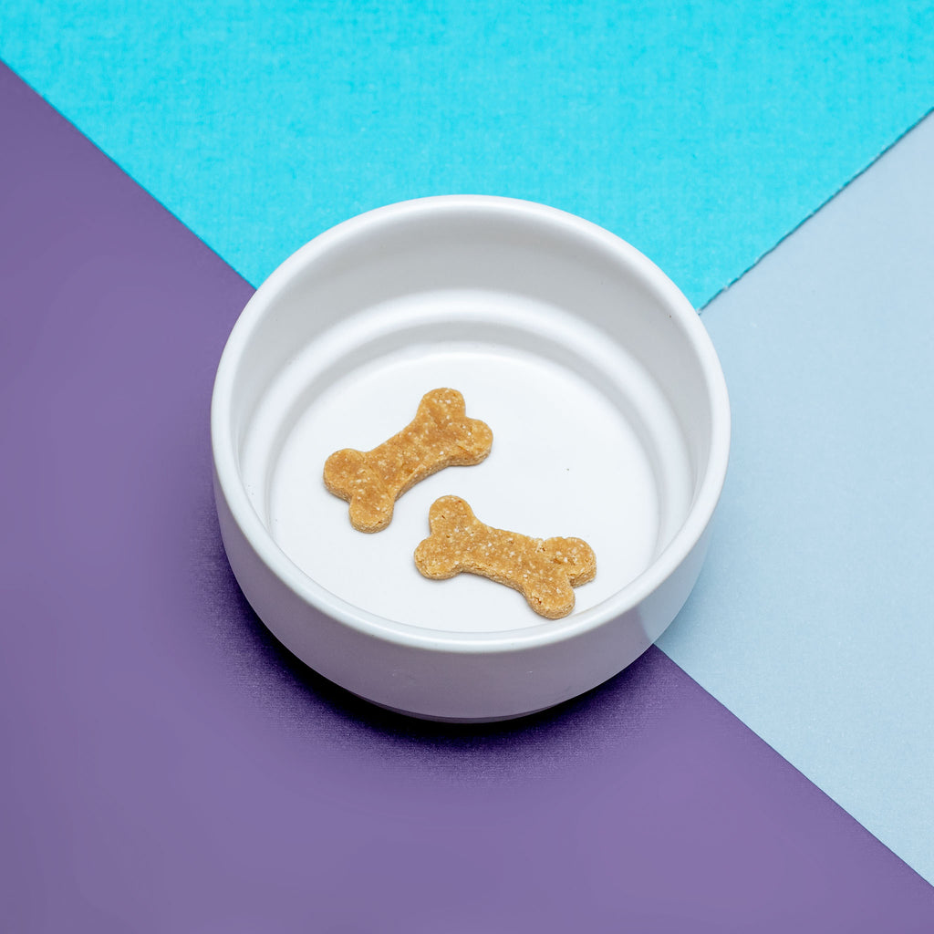 HOMART Stackable Ceramic Dog Bowl in White DOG1