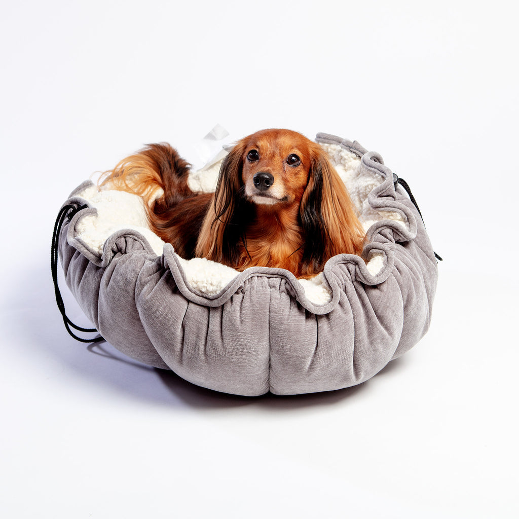 Buttercup Bed (Direct-Ship) HOME BOWSER'S PET PRODUCTS   