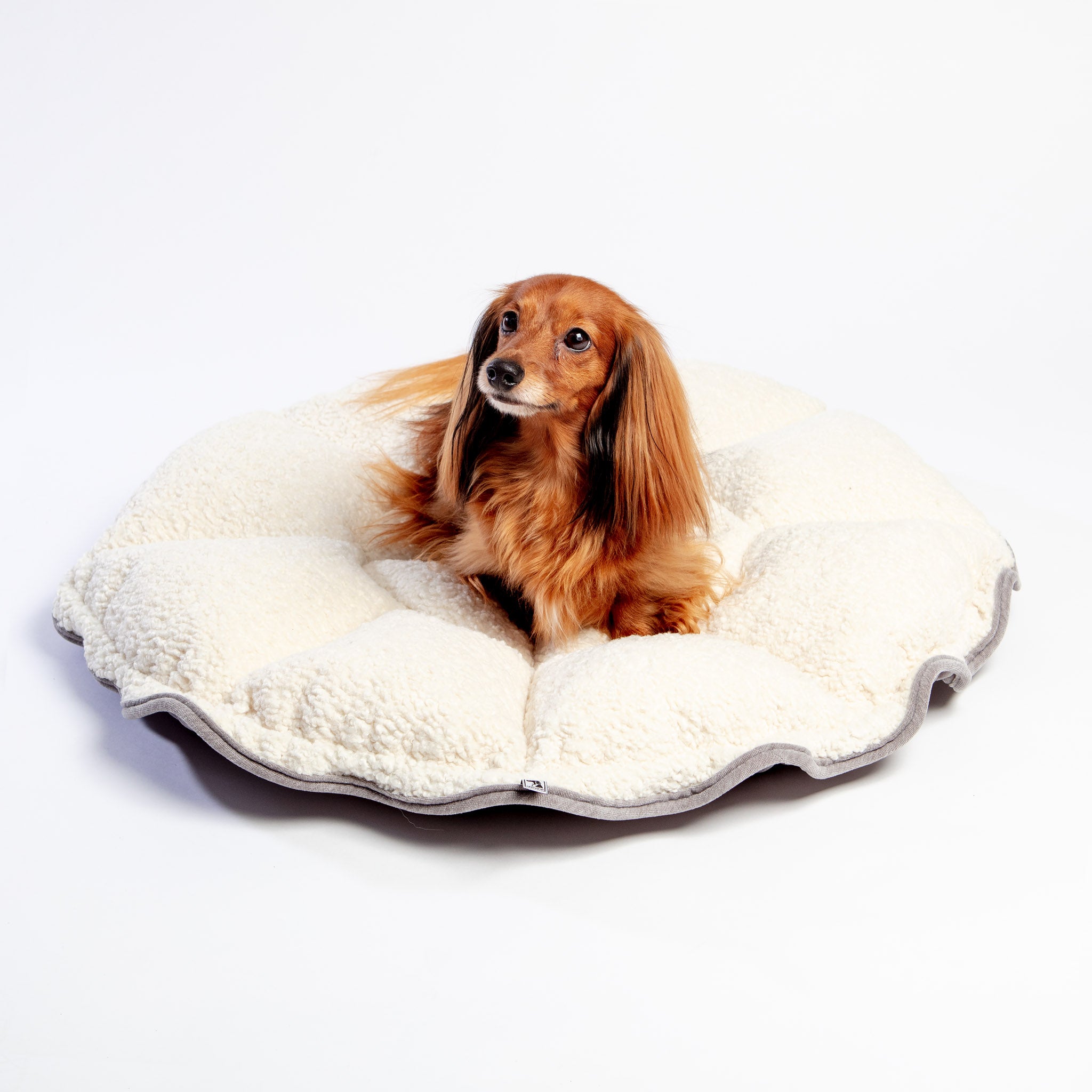 Bowser s Pet Products DOG CO