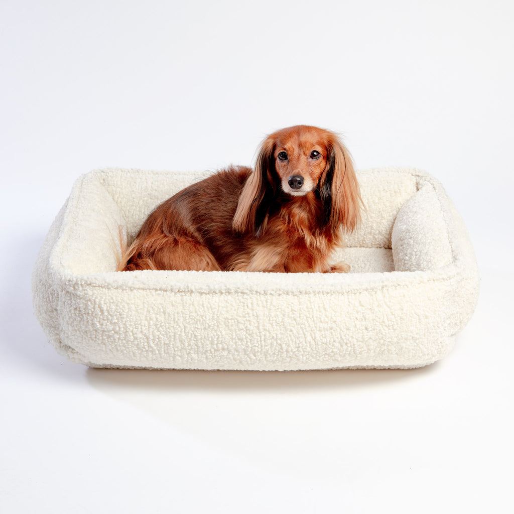 Urban Lounger in Ivory Sheepskin (Direct-Ship) DROP-SHIP BOWSER'S PET PRODUCTS   