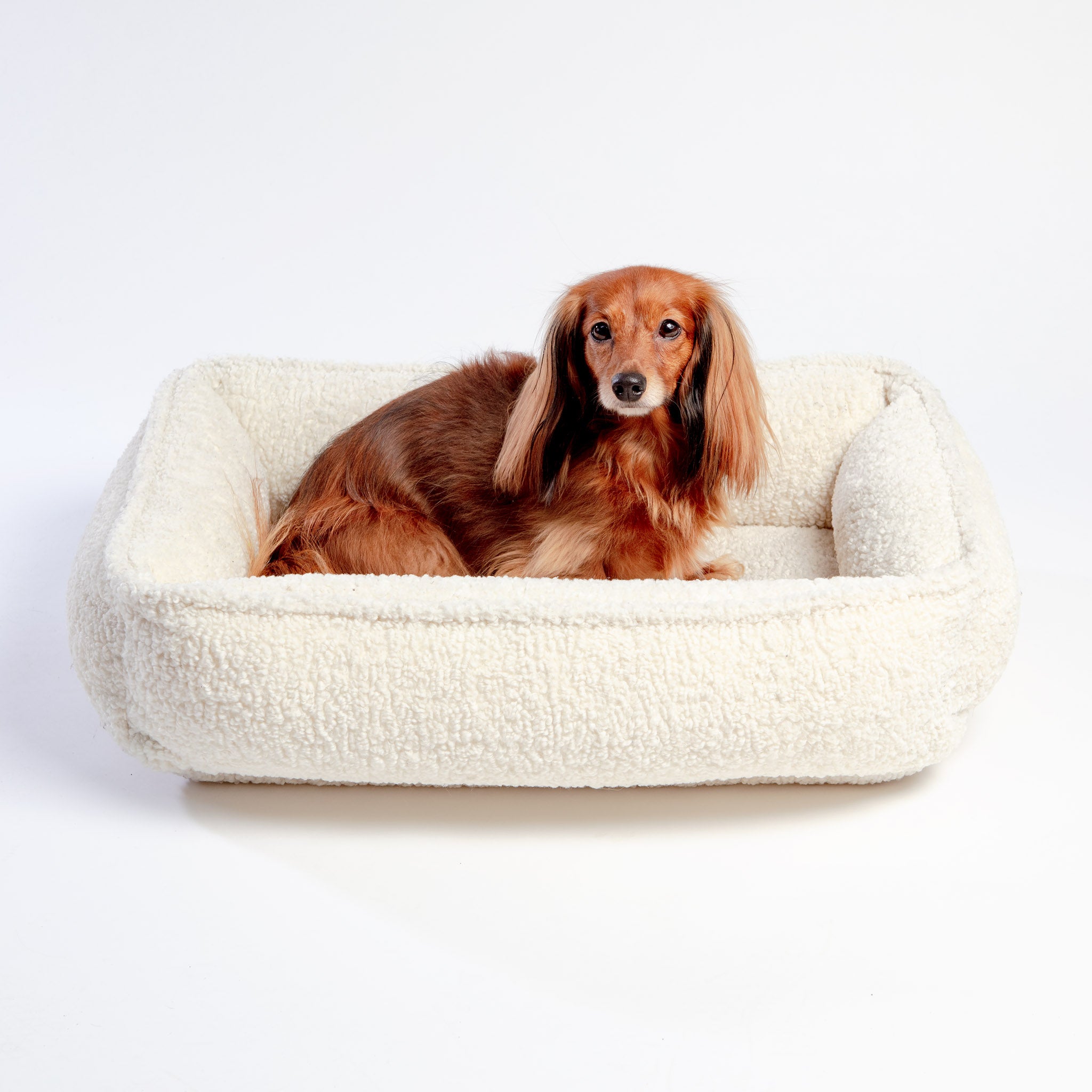BEDS DOG CO
