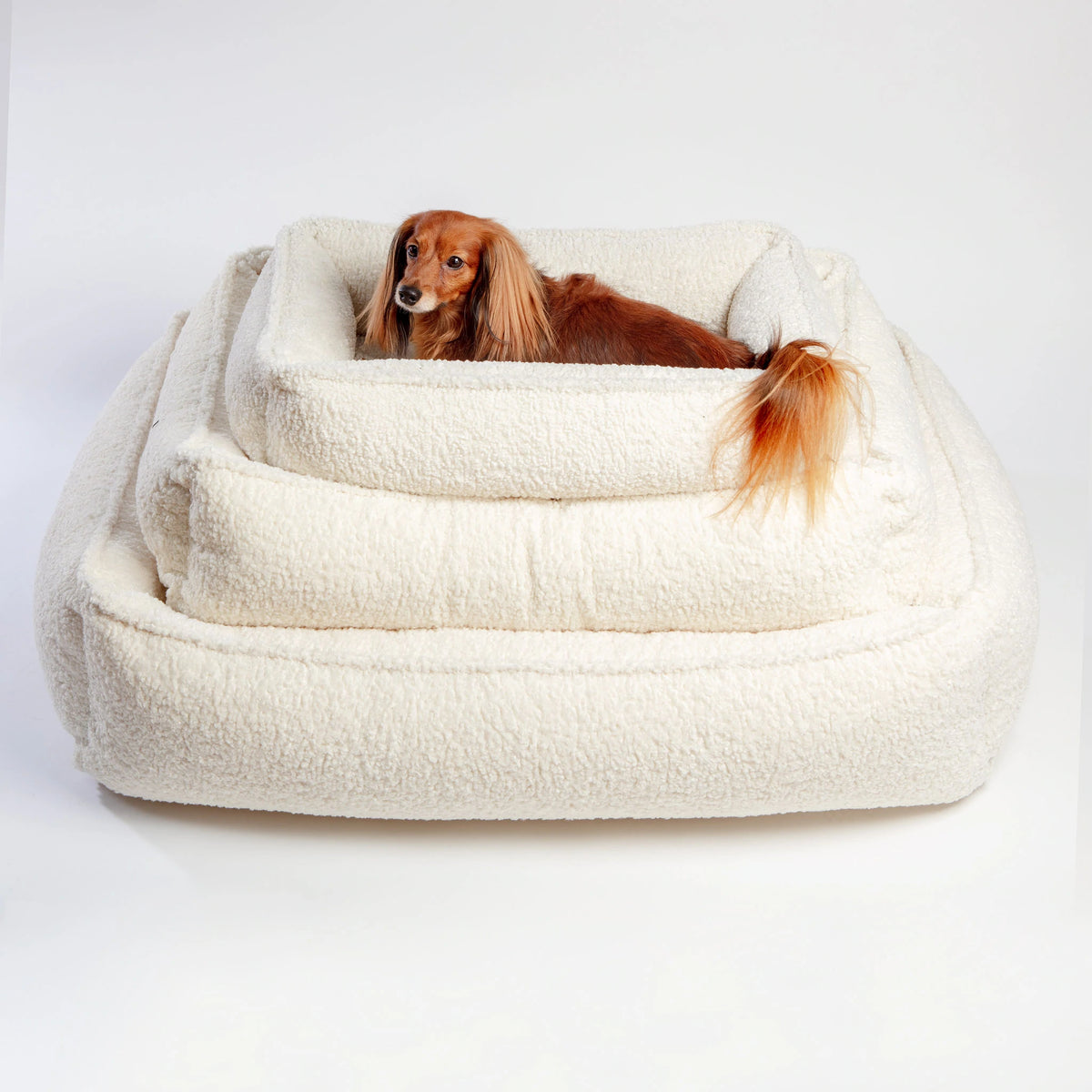 Bowsers Signature Scoop Dog Bed - Ivory Sheepskin Faux Fur – PupLife Dog  Supplies